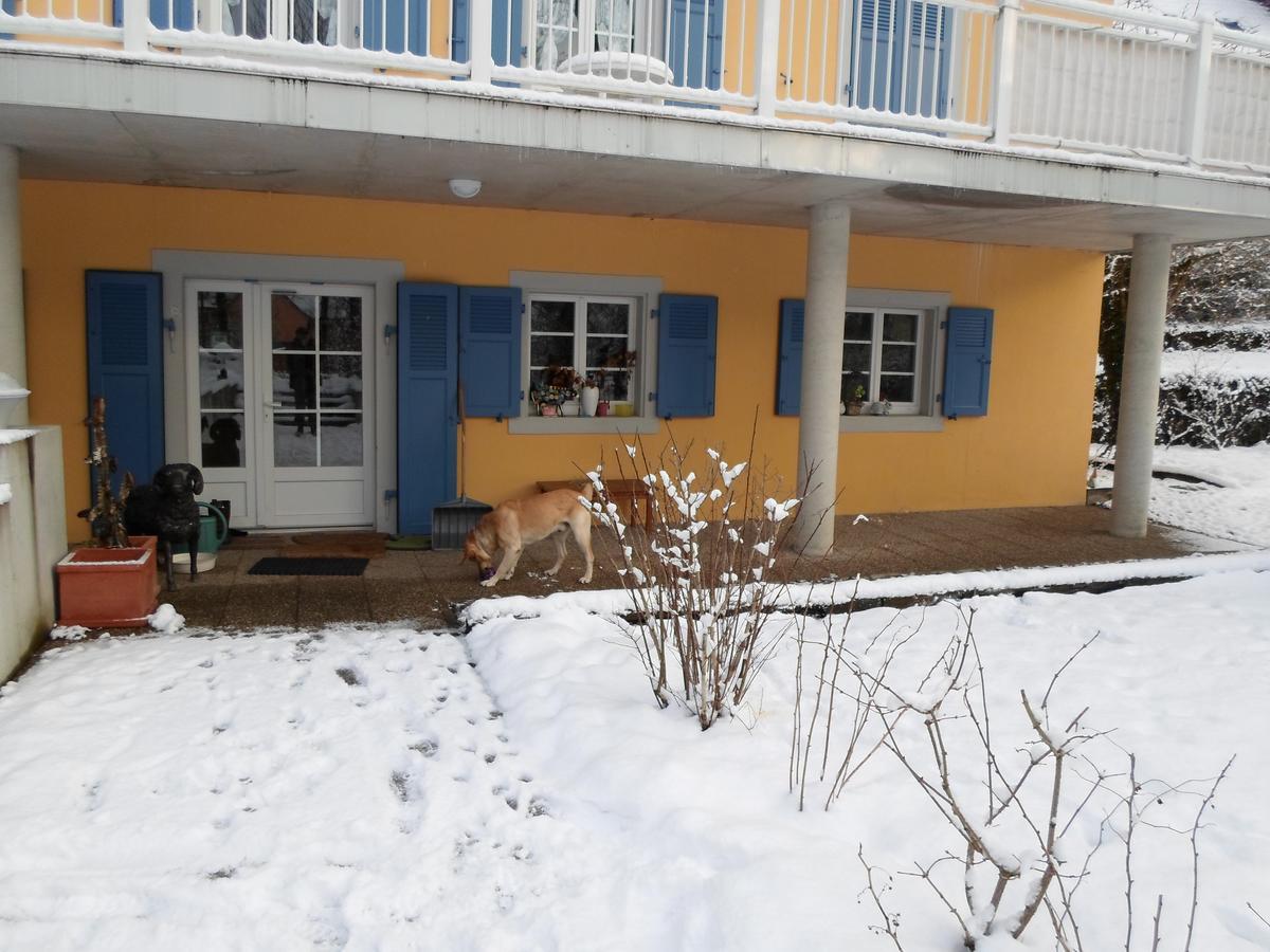Les Volets Bleus Alsace Vosges Acomodação com café da manhã Urbès Exterior foto