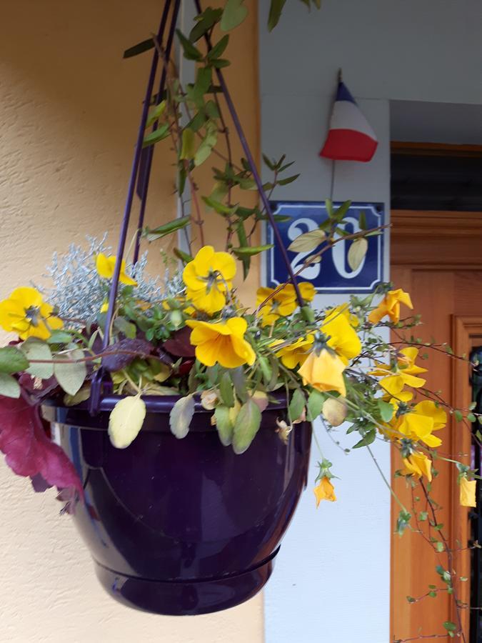 Les Volets Bleus Alsace Vosges Acomodação com café da manhã Urbès Exterior foto