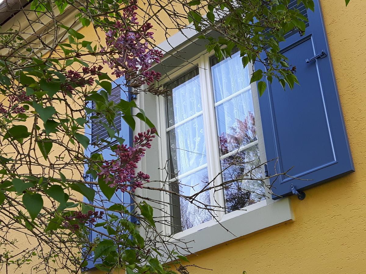 Les Volets Bleus Alsace Vosges Acomodação com café da manhã Urbès Exterior foto